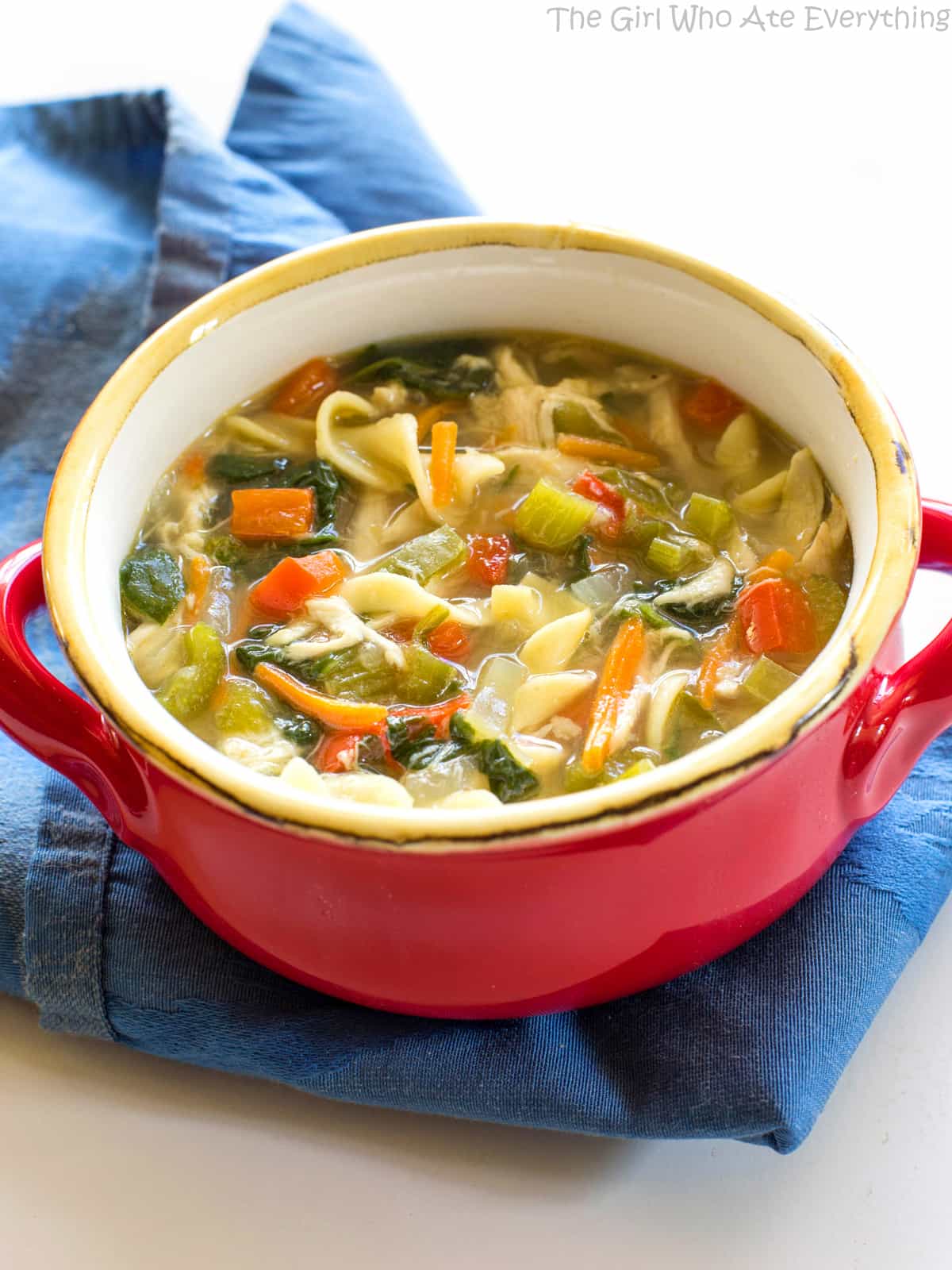 Healthy Vegetable Chicken Soup - The Girl Who Ate Everything
