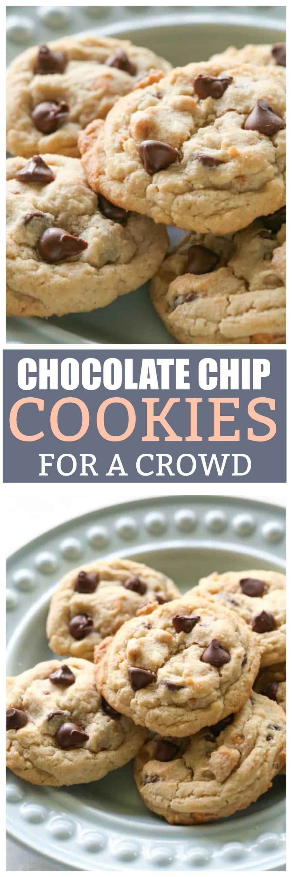 Chocolate Chip Cookies on a plate