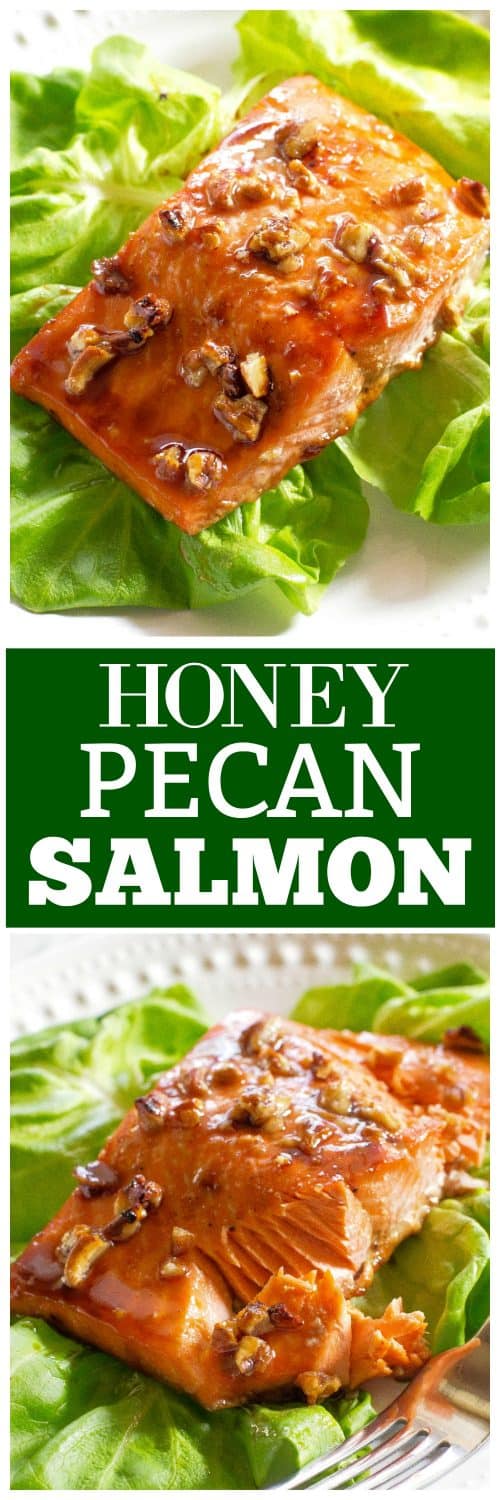 Pecan and Honey Glazed Salmon Recipe - The Girl Who Ate Everything