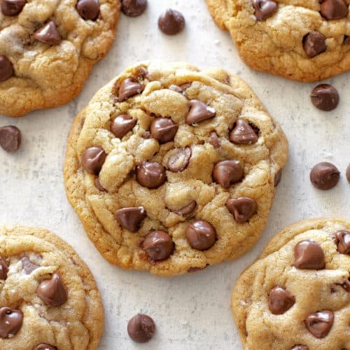 https://www.the-girl-who-ate-everything.com/wp-content/uploads/2009/05/big-fat-chocolate-chip-cookie-05-500x500.jpg