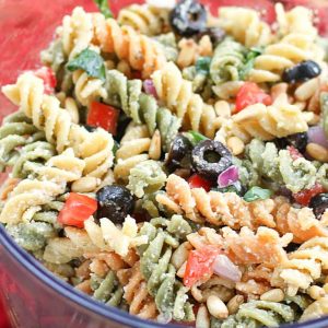 Feta and Vegetable Rotini Salad - an easy and tasty pasta salad that's great for potlucks! the-girl-who-ate-everything.com