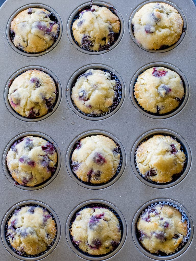  Lemon Blueberry Muffins in a tin