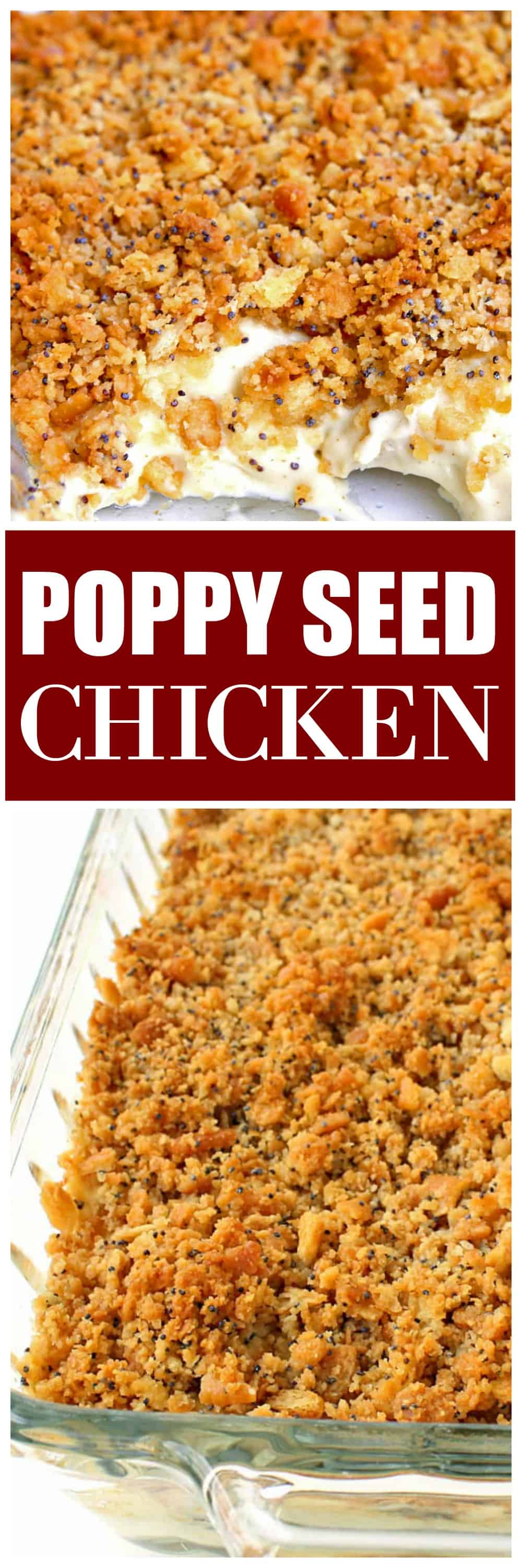 Poppy Seed Chicken - A creamy and easy dinner that your whole family will love. #poppy #seed #chicken #casserole #recipe