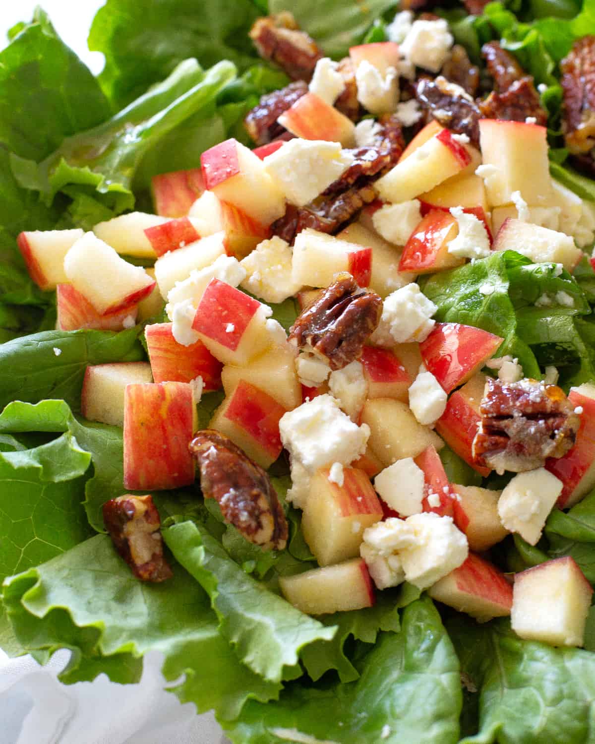 Pecan and Apple Salad is my go-to salad for potlucks. Candied pecans, fresh apples, and cheese make this salad unique and full of flavor! #apple #pecan #salad