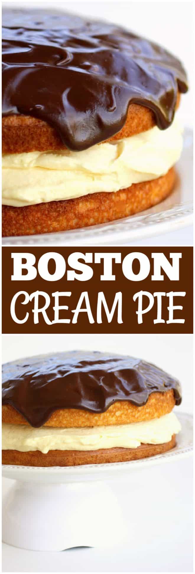 boston cream pie