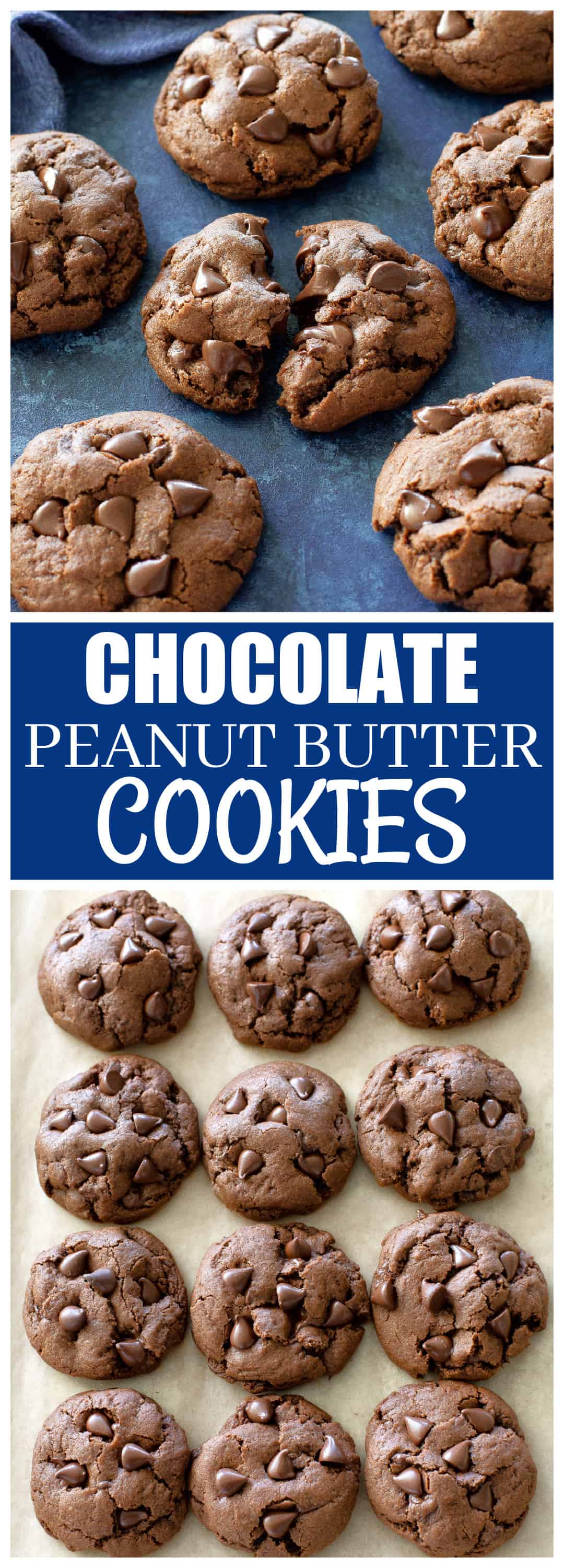 Chocolate Peanut Butter Cookies are rich, fudgy, and full of all the chocolate flavor with a touch of peanut butter. #double #chocolate #peanut #butter #cookies #recipe #dessert