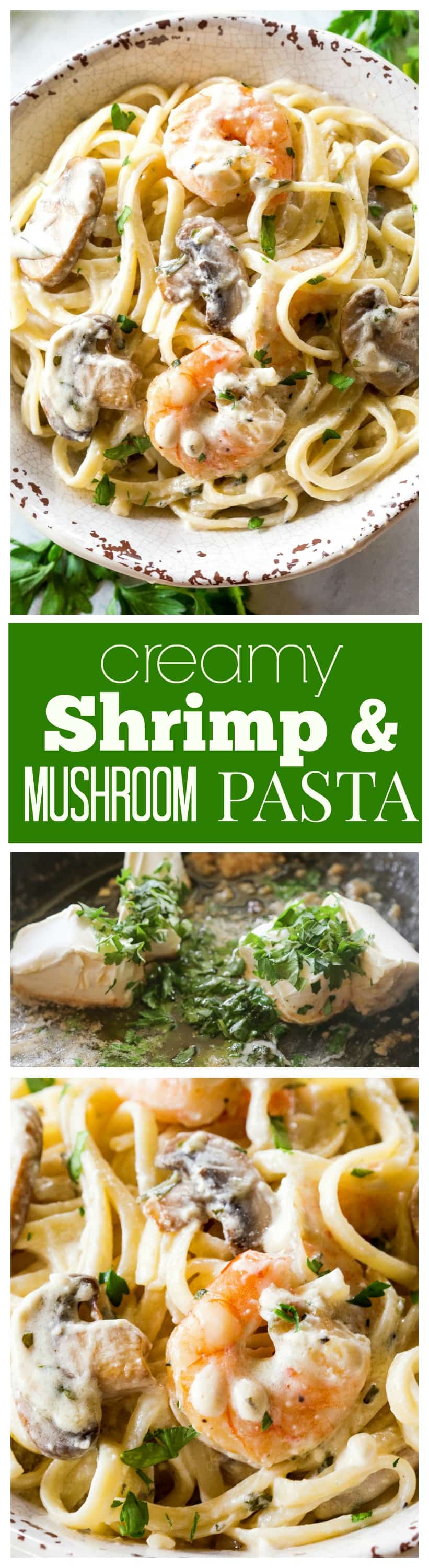 Creamy Shrimp and Mushroom Pasta - so easy and done in under 20 minutes. #shrimp #mushroom #pasta #dinner #recipe