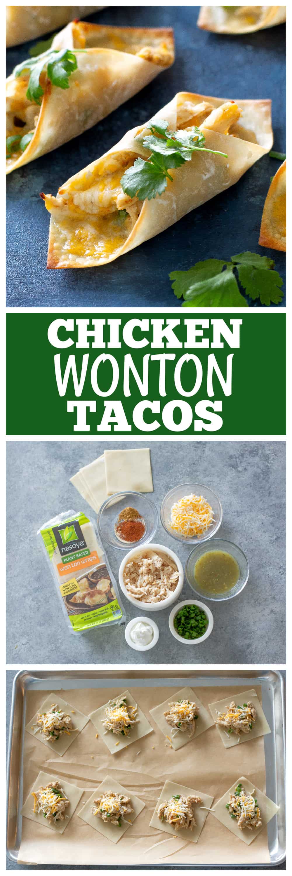 Chicken Wonton Tacos 