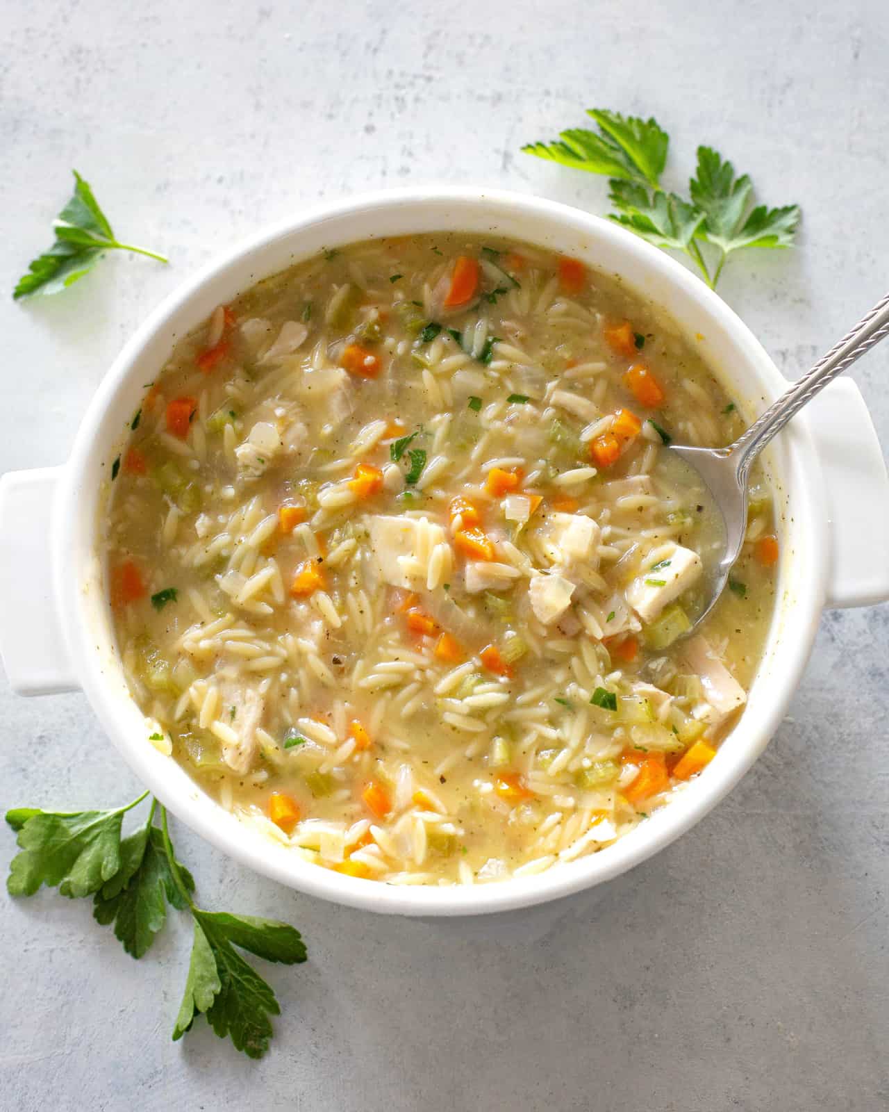 Lemon Chicken Orzo Soup Recipe - The Girl Who Ate Everything