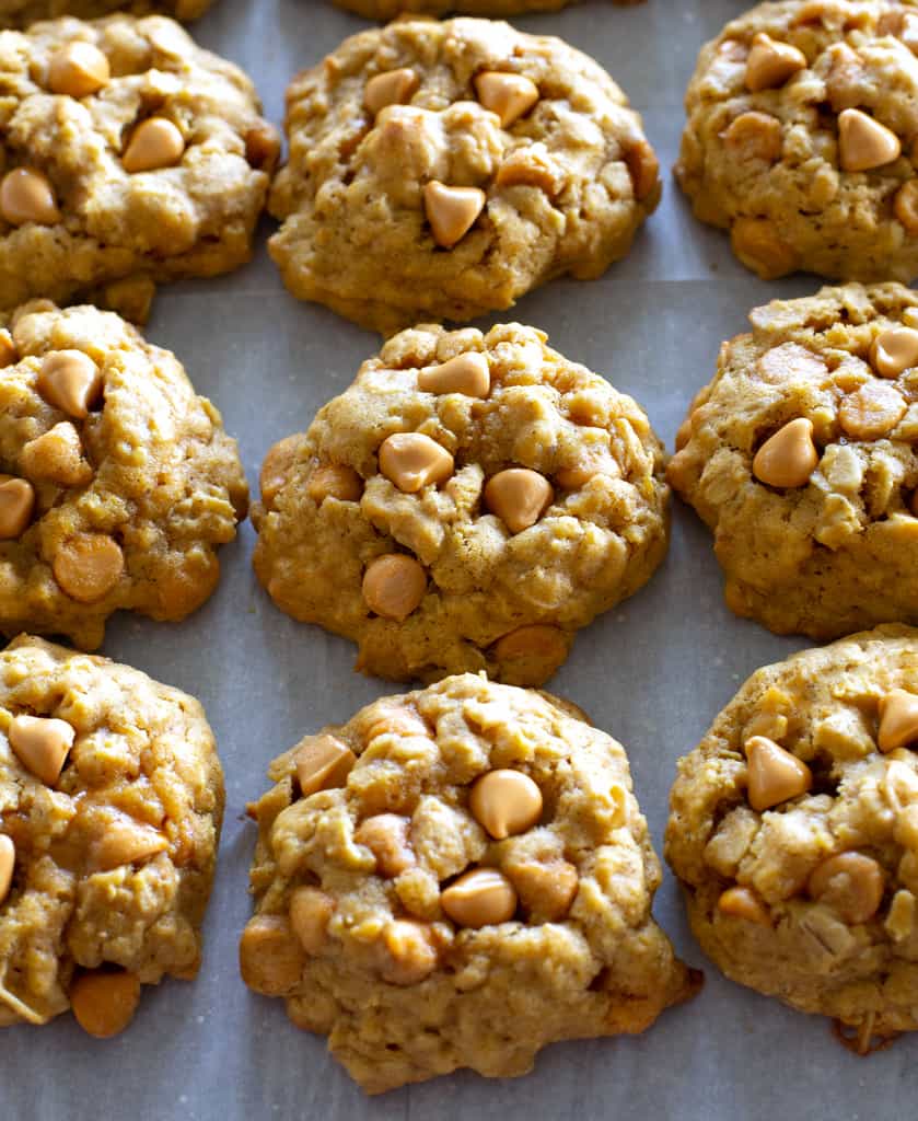 Pumpkin Oatmeal Scotchies