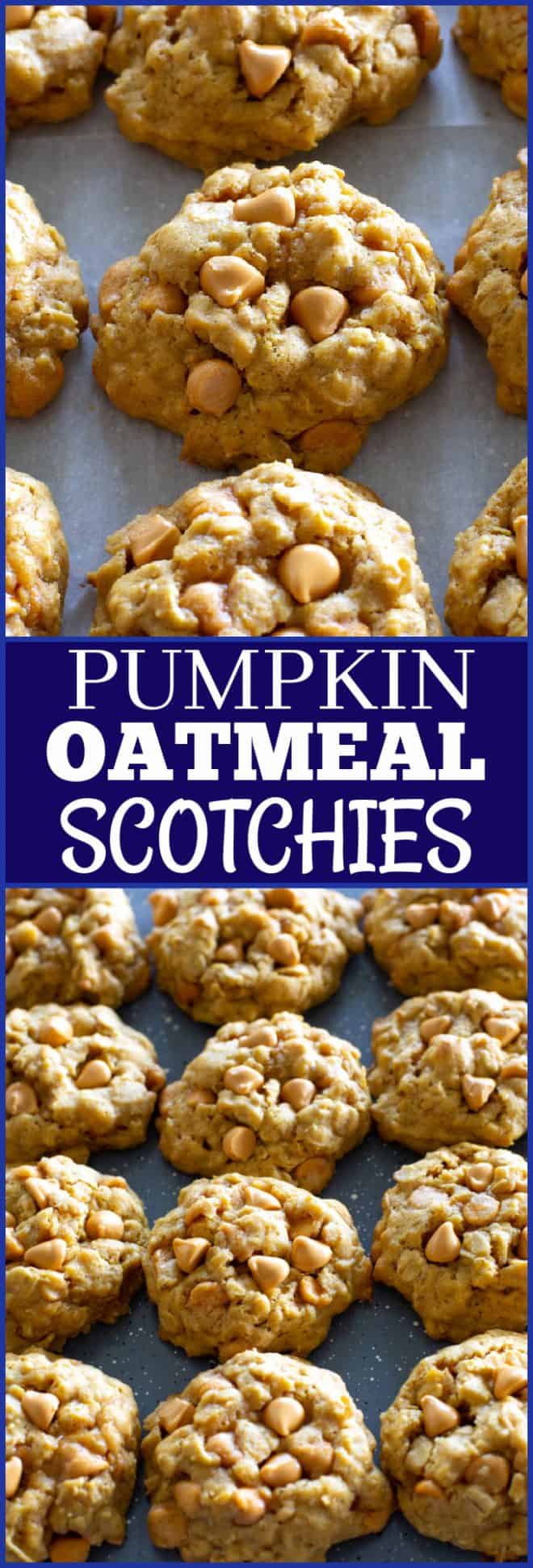 pumpkin oatmeal scotchies