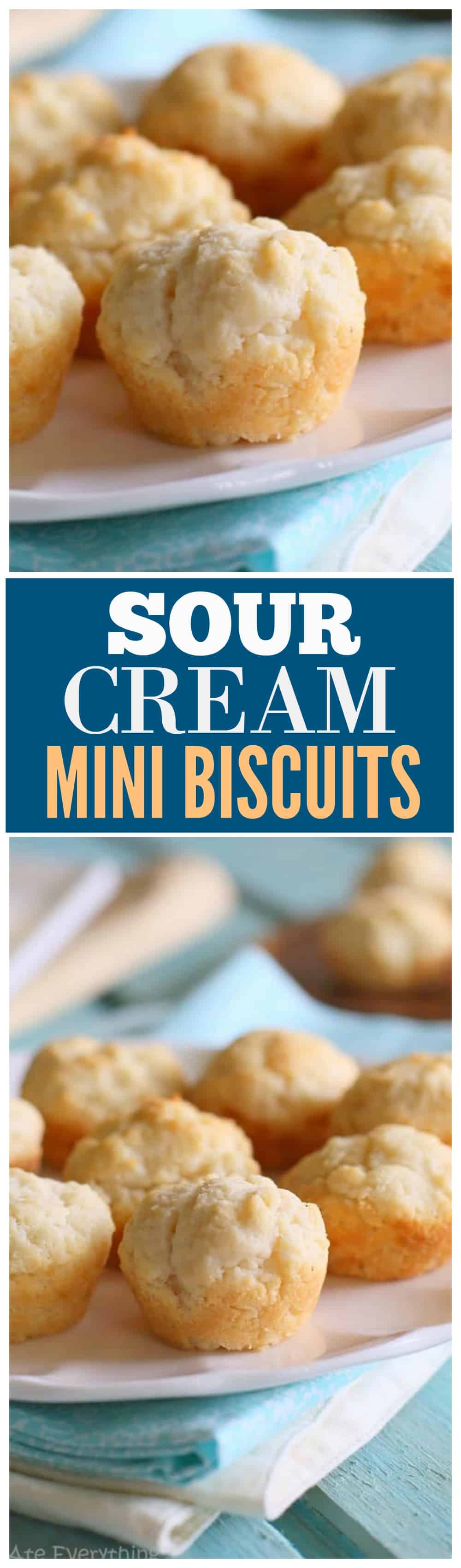 These Sour Cream Mini Biscuits are melt in your mouth and so easy!