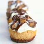 Reese’s Peanut Butter Mini Cheesecakes