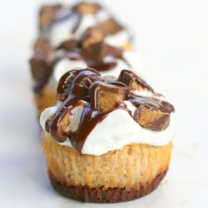 Reese's Peanut Butter Mini Cheesecakes | The Girl Who Ate Everything