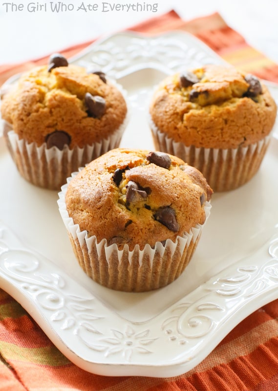 These Pumpkin Chocolate Chip Muffins are moist pumpkin spiced treats dotted with chocolate chips. This is the only pumpkin chocolate chip muffin recipe you will ever need. the-girl-who-ate-everything.com