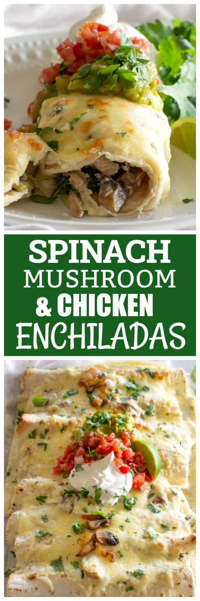 Spinach, Mushroom, Chicken Enchiladas