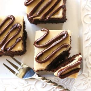 Salted Caramel Coconut Brownies - Moist, chewy coconut brownies with a salted caramel glaze and chocolate drizzle. the-girl-who-ate-everything.com