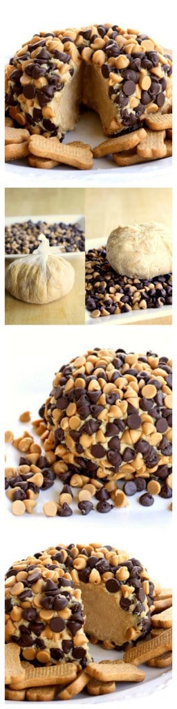 This Peanut Butter "Cheese" Ball is a creamy peanut butter mixture rolled in chocolate chips and peanut butter chips. A potluck favorite! #peanutbutter #chocolate #ball #dessert #appetizer