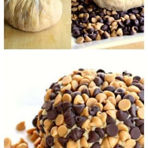 This Peanut Butter "Cheese" Ball is a creamy peanut butter mixture rolled in chocolate chips and peanut butter chips. Serve with graham crackers or apples for a sure hit! the-girl-who-ate-everything.com