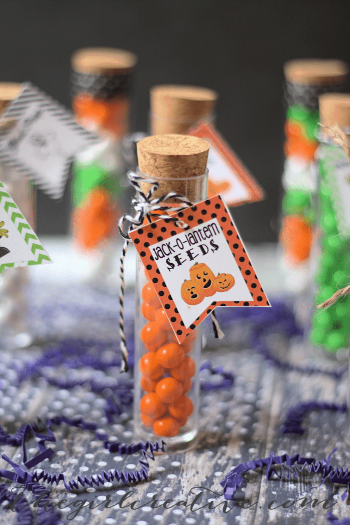 Halloween Test Tube Party Favors with Free Printable Halloween Tags