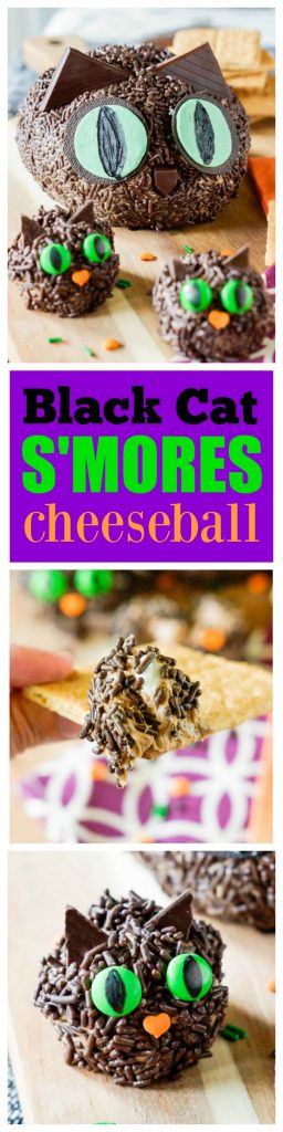 Black Cat S'mores Cheeseball - so cute and perfect for Halloween! the-girl-who-ate-everything.com