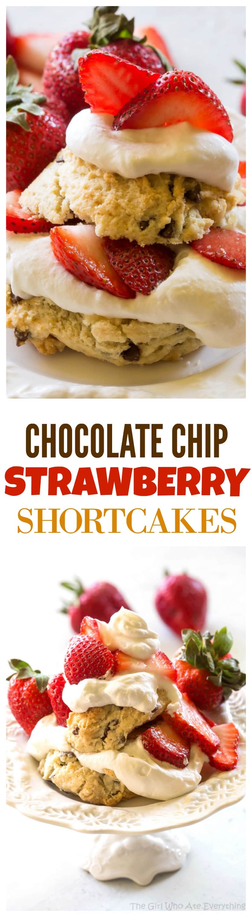 These Chocolate Chip Strawberry Shortcake is melt in your mouth buttery shortcake with mini chocolate chips topped with strawberries and whipped cream. A fun summer dessert. I have struggled for so long to find a Strawberry Shortcake that I love and this Chocolate Chip Strawberry Shortcake is divine! #strawberry #shortcake #chocolate #dessert