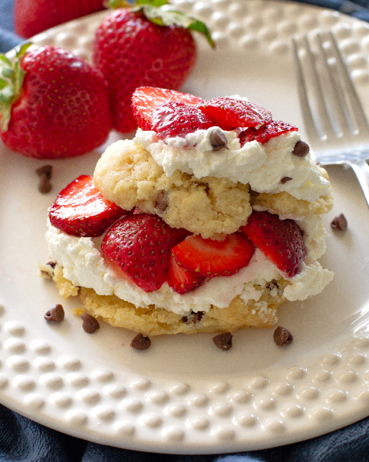 Chocolate Chip Strawberry Shortcake
