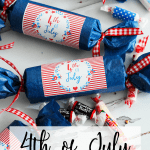 4th of July Firecrackers Favors