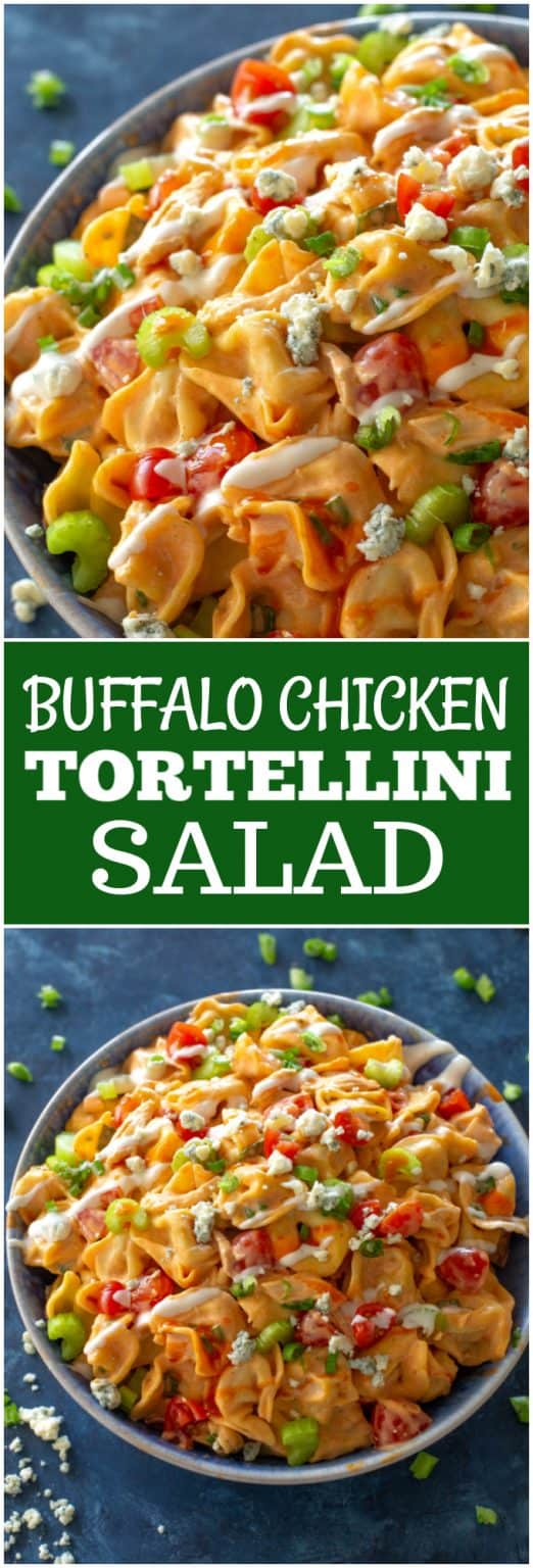 Buffalo Chicken Tortellini Salad - The Girl Who Ate Everything