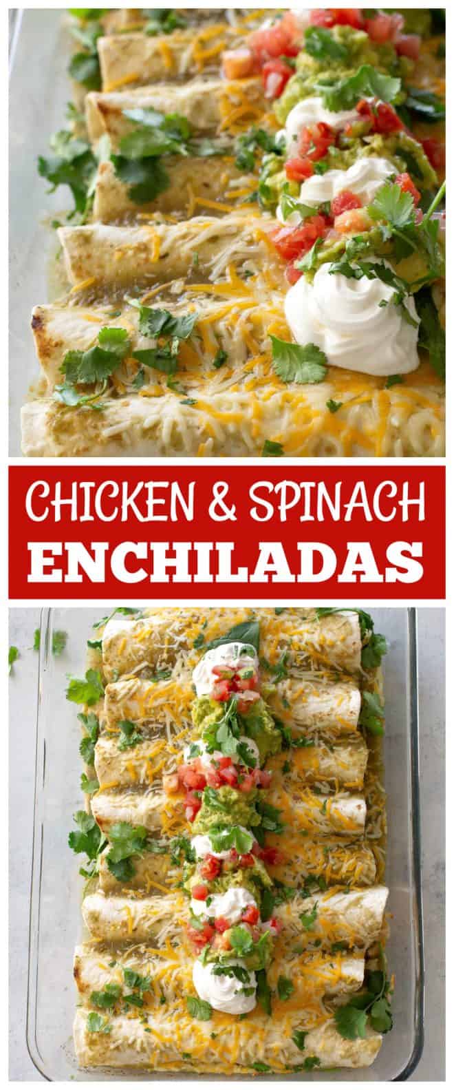 hicken and Spinach Enchiladas 