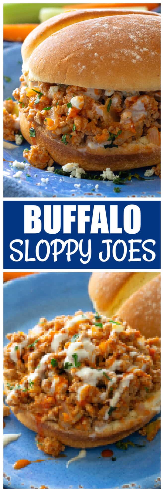 Buffalo Sloppy Joes - The Girl Who Ate Everything