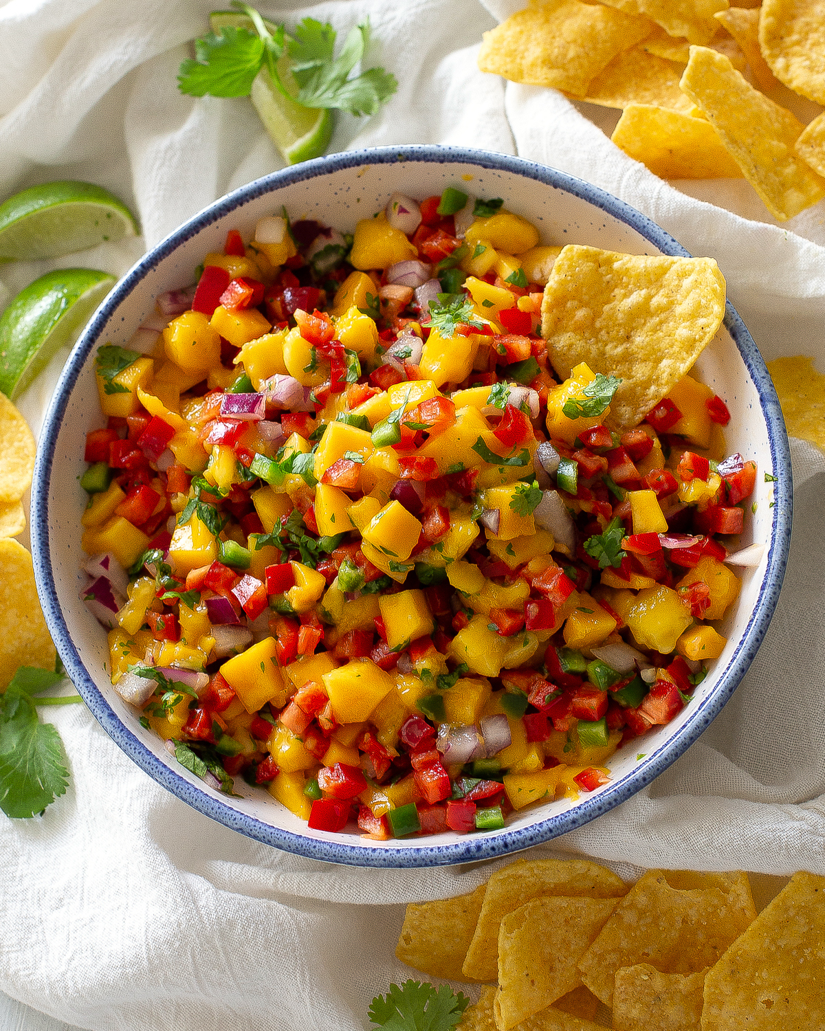 mango salsa with a chip