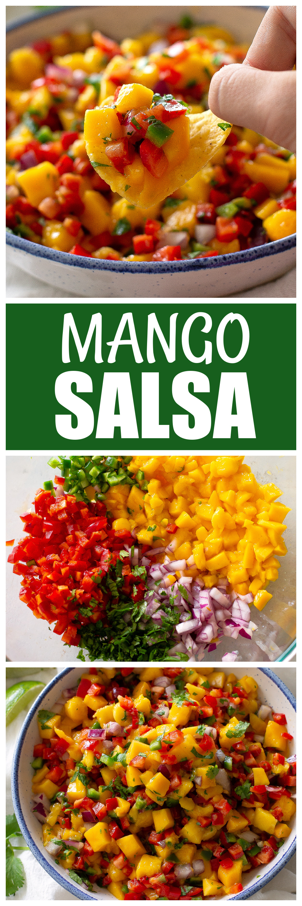 mango salsa with a chip