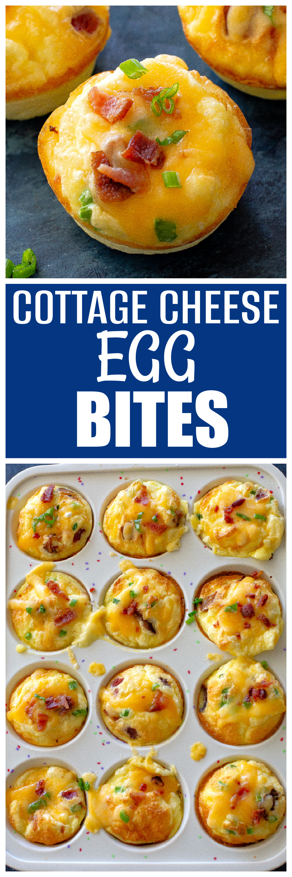 cottage cheese egg bites