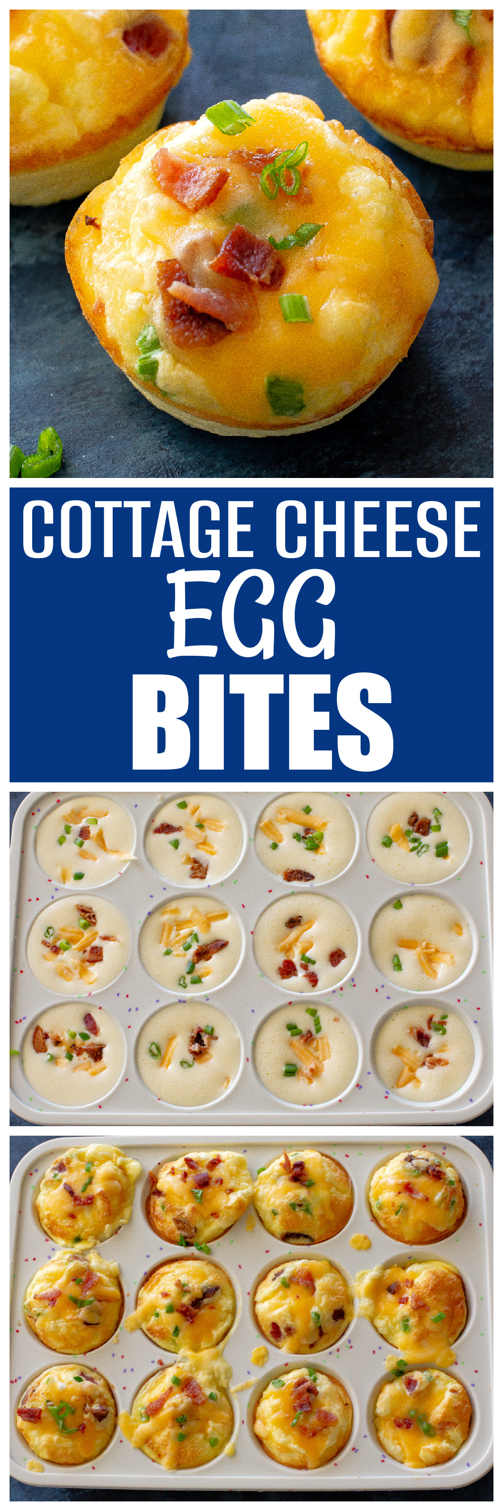cottage cheese egg bites
